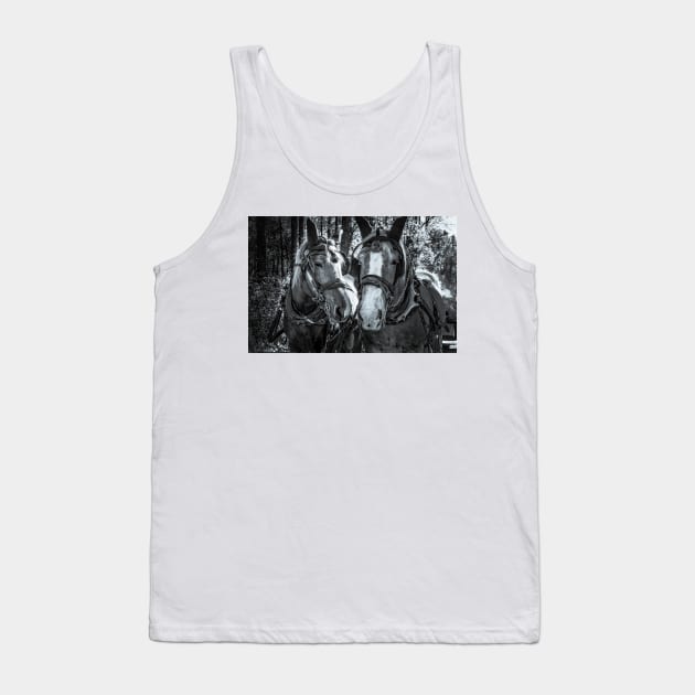 Horse Pride 4 Tank Top by Robert Alsop